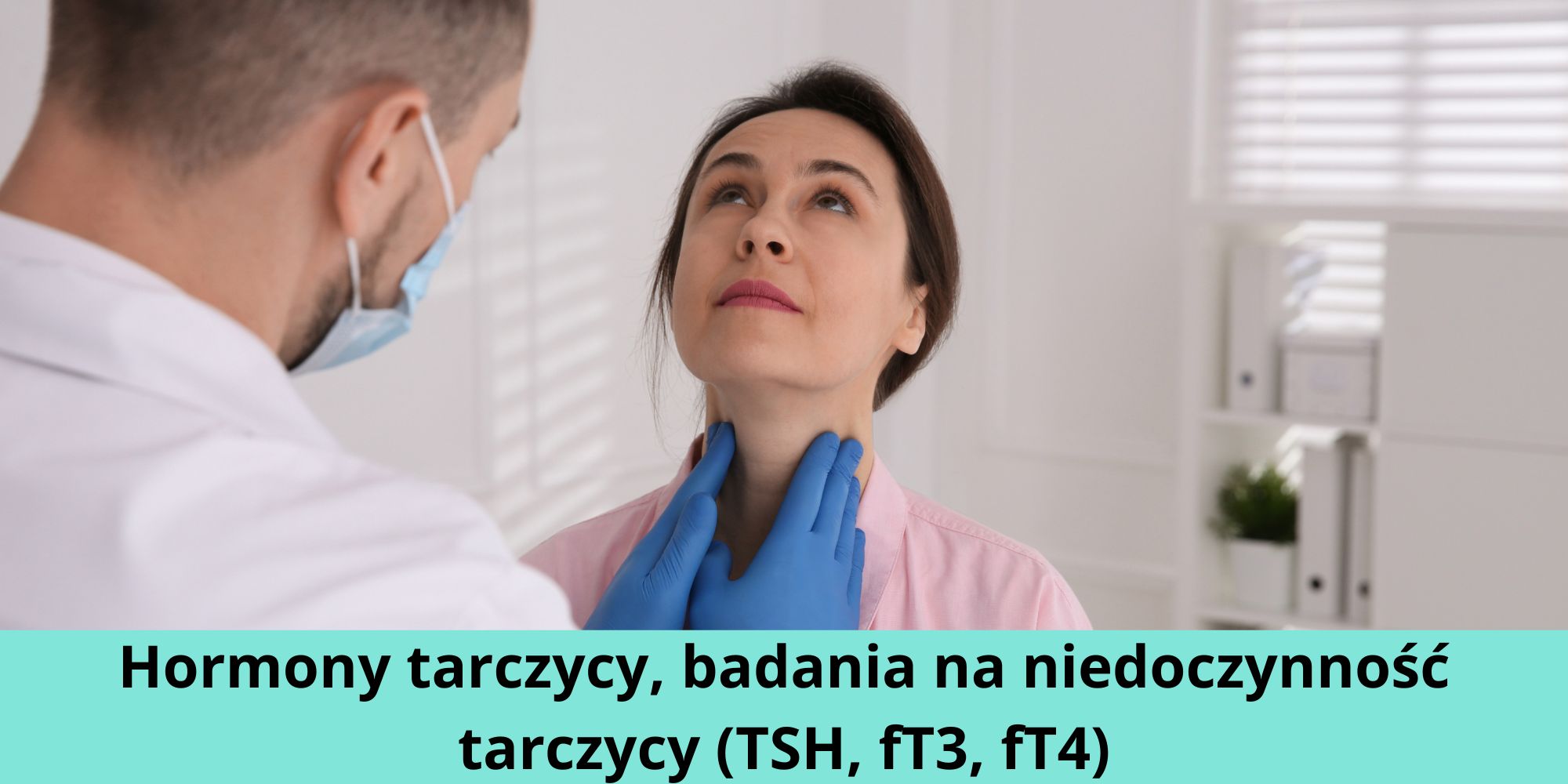 Hormony tarczycy, badania na niedoczynność tarczycy (TSH, fT3, fT4)